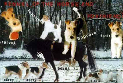 Kennel of the Horse and Foxfriends